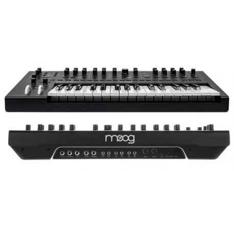 MOOG Messenger sintetizzatore analogico monofonico 32 tasti