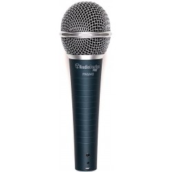 AUDIODESIGN PA M40 microfono dinamico