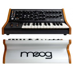 MOOG Subsequent 25 sintetizzatore parafonico a due voci