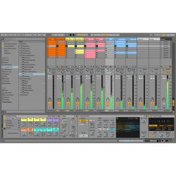 ABLETON Live 11 Intro software di produzioni audio(download)